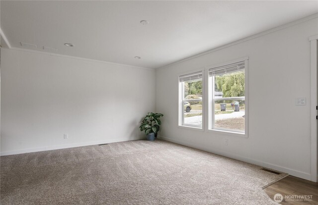 4359 Childrens Ave, Oak Harbor, WA 98277 - photo 7