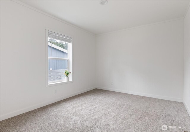 4359 Childrens Ave, Oak Harbor, WA 98277 - photo 22