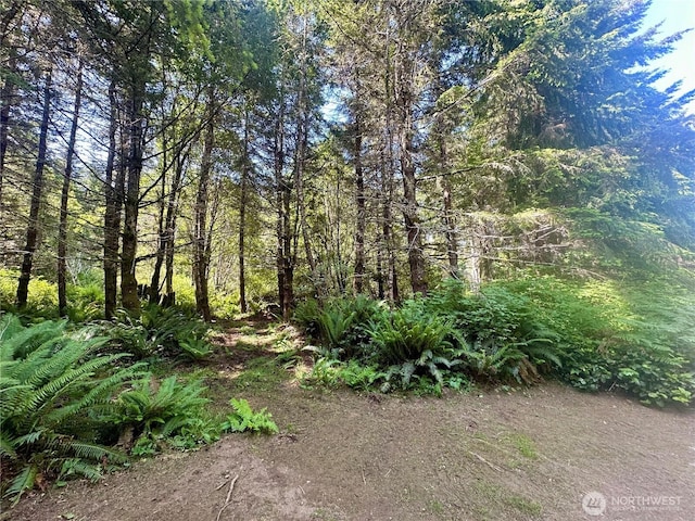 222 Southview Dr, Port Angeles, WA 98363