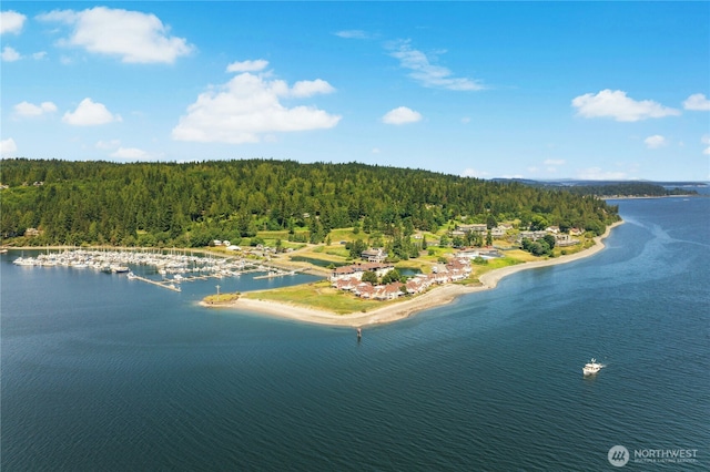 32 Heron Rd, Port Ludlow, WA 98365 - aerial view of a large body of water