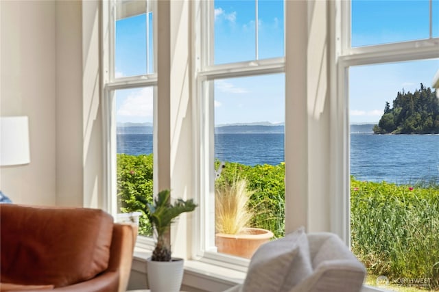 32 Heron Rd, Port Ludlow, WA 98365 - sitting room featuring a water view, healthy amount of natural light, and a towering ceiling