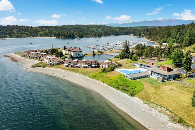 32 Heron Rd, Port Ludlow, WA 98365 - aerial view of a forest and a large body of water