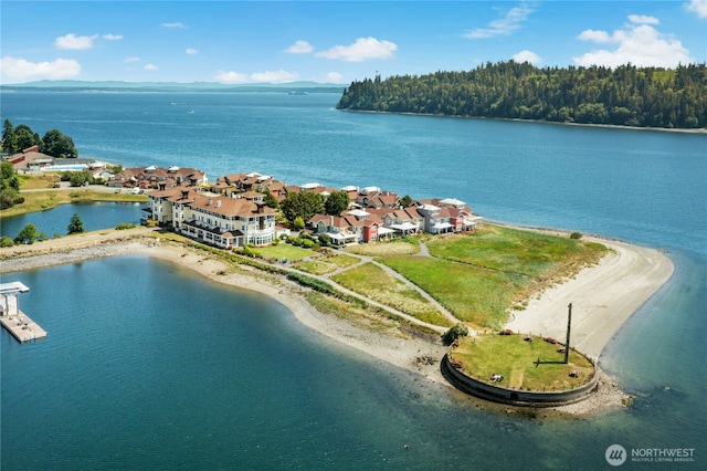 32 Heron Rd, Port Ludlow, WA 98365 - bird's eye view of a nearby body of water