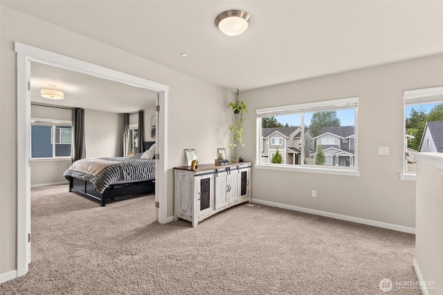 3115 Stephanie Loop NE, Lacey, WA 98516 - bedroom featuring carpet floors