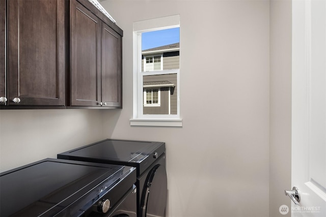 27156 NE Walden Way, Duvall, WA 98019 - laundry area with washer and dryer and cabinet space