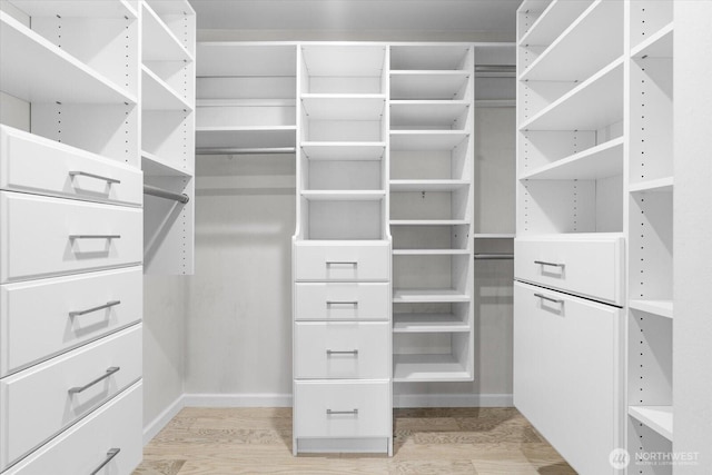 5029 84th St SW Unit 109, Mukilteo, WA 98275 - walk in closet featuring light wood finished floors