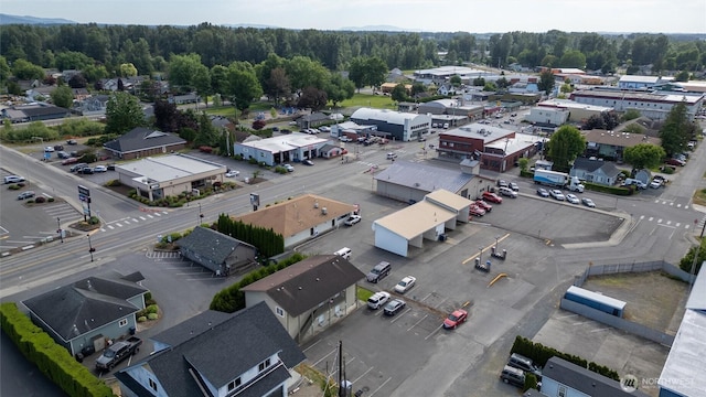 108 Baker St Unit 1-4, Everson, WA 98247 - drone / aerial view