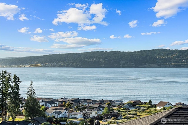 809 W Rocky Point Dr, Camano Island, WA 98282 - water view with a heavily wooded area and nearby suburban area
