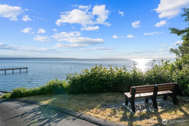 809 W Rocky Point Dr, Camano Island, WA 98282 - water view