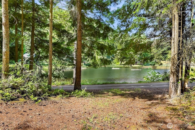 2940 Rosewood Ter, Lummi Island, WA 98262