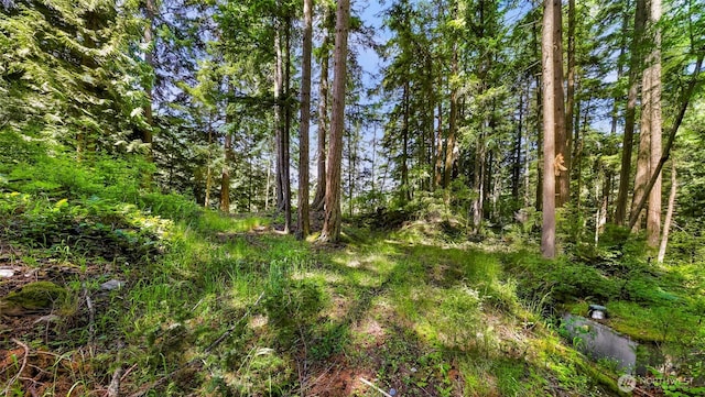 2940 Rosewood Ter, Lummi Island, WA 98262