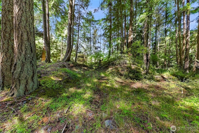 2940 Rosewood Ter, Lummi Island, WA 98262