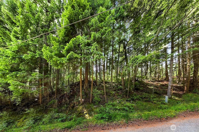 2940 Rosewood Ter, Lummi Island, WA 98262