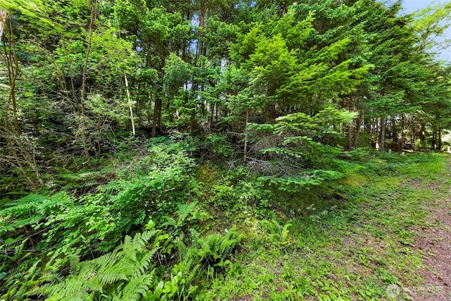 2940 Rosewood Ter, Lummi Island, WA 98262