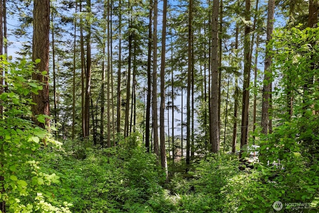 2940 Rosewood Ter, Lummi Island, WA 98262