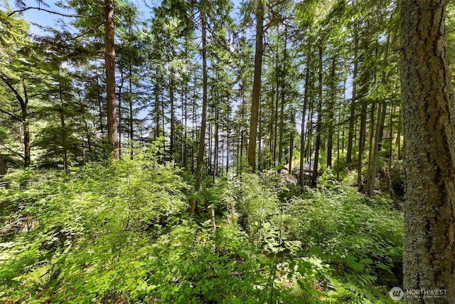 2940 Rosewood Ter, Lummi Island, WA 98262
