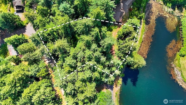 2940 Rosewood Ter, Lummi Island, WA 98262