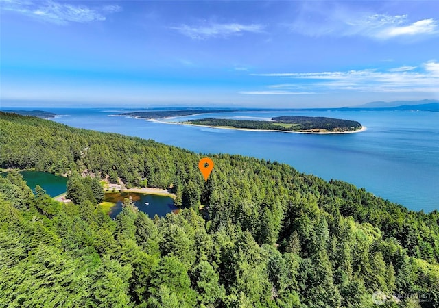 2940 Rosewood Ter, Lummi Island, WA 98262