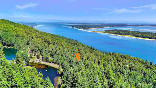 2940 Rosewood Ter, Lummi Island, WA 98262