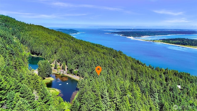 2940 Rosewood Ter, Lummi Island, WA 98262