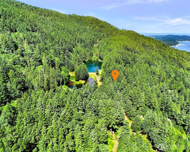 2940 Rosewood Ter, Lummi Island, WA 98262