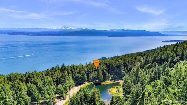 2940 Rosewood Ter, Lummi Island, WA 98262