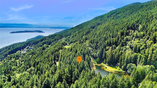 2940 Rosewood Ter, Lummi Island, WA 98262