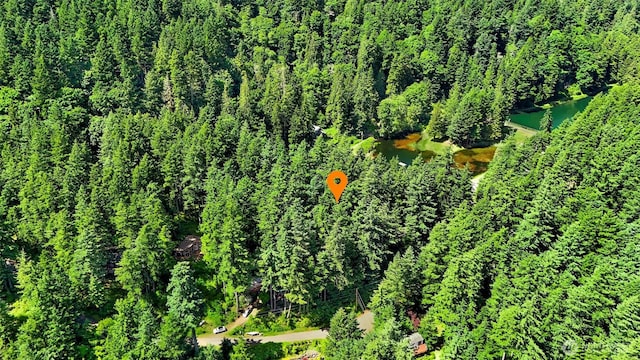 2940 Rosewood Ter, Lummi Island, WA 98262