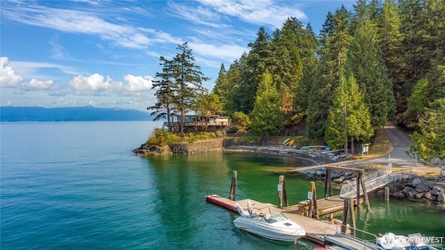 2940 Rosewood Ter, Lummi Island, WA 98262