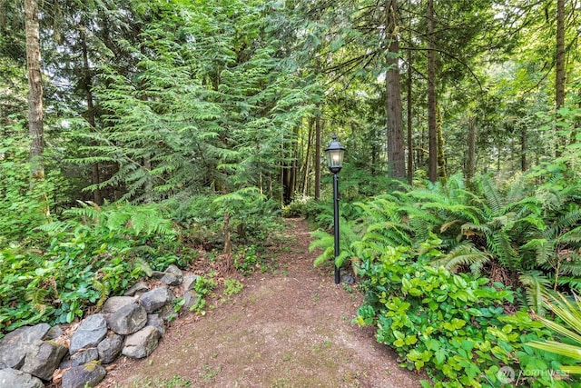 5626 Thane Ln SE, Port Orchard, WA 98367 - view of tree filled area