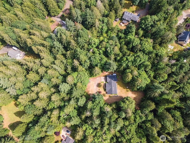 5626 Thane Ln SE, Port Orchard, WA 98367 - aerial view of property and surrounding area