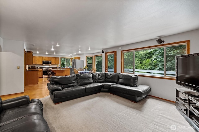 6345 Agnes Rd NE, Tacoma, WA 98422 - living area with baseboards and light colored carpet