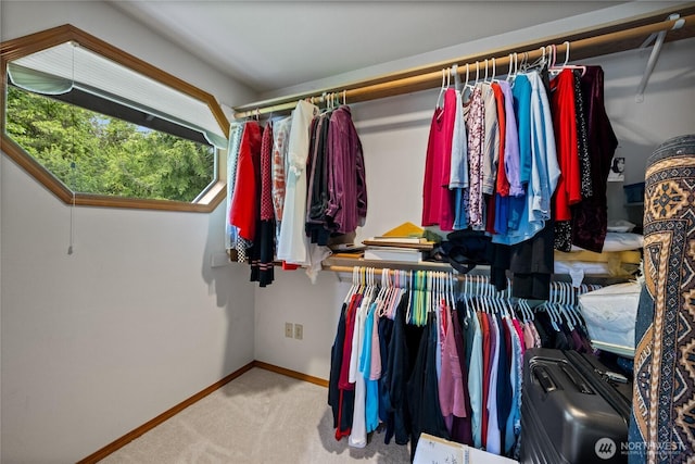6345 Agnes Rd NE, Tacoma, WA 98422 - walk in closet with carpet