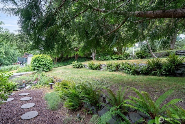 6345 Agnes Rd NE, Tacoma, WA 98422 - view of yard