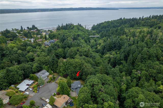 6345 Agnes Rd NE, Tacoma, WA 98422 - aerial view of property's location featuring a nearby body of water