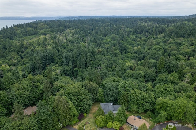6345 Agnes Rd NE, Tacoma, WA 98422 - aerial view of a forest and a nearby body of water