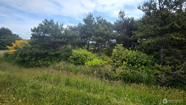 788 S Sand Dune Ave, Ocean Shores, WA 98569
