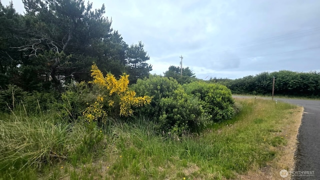 788 S Sand Dune Ave, Ocean Shores, WA 98569