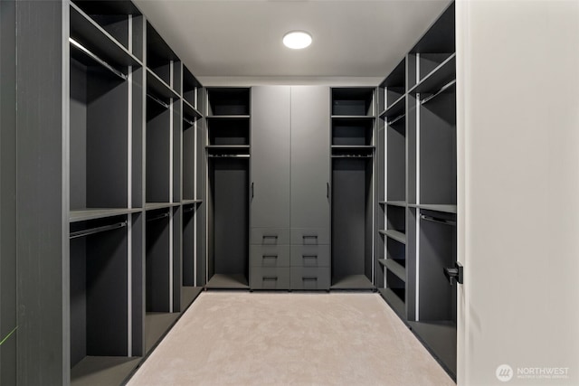 11888 SE 5th St, Bellevue, WA 98005 - spacious closet featuring carpet