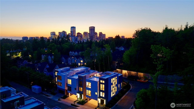 11888 SE 5th St, Bellevue, WA 98005 - view of city
