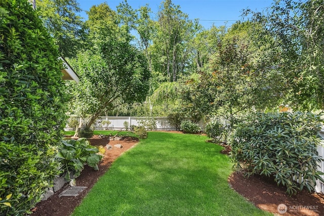 537 30th Ave E, Seattle, WA 98112 - view of yard