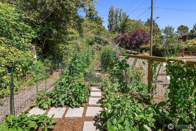 537 30th Ave E, Seattle, WA 98112 - view of yard featuring a vegetable garden