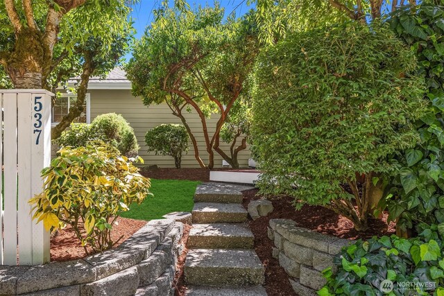 537 30th Ave E, Seattle, WA 98112 - view of yard