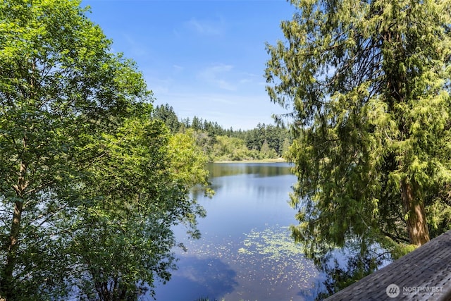 12995 Lake Shore Dr NW, Poulsbo, WA 98370 - photo 5
