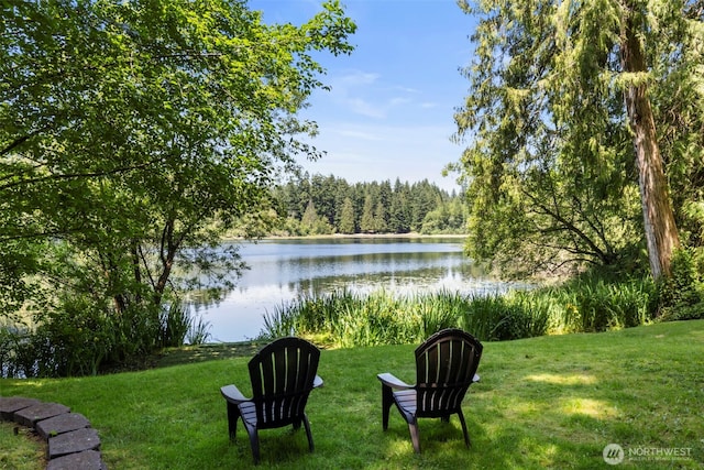 12995 Lake Shore Dr NW, Poulsbo, WA 98370 - photo 30