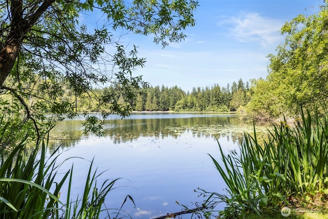 12995 Lake Shore Dr NW, Poulsbo, WA 98370 - photo 32