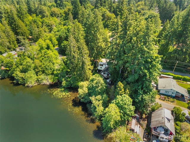 12995 Lake Shore Dr NW, Poulsbo, WA 98370 - photo 34