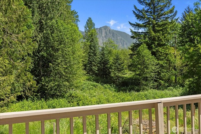 7520 408th Ave SE, Snoqualmie, WA 98065 - photo 34