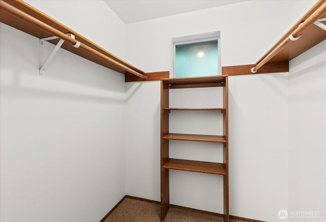 1513 Lowell Ave, Bellingham, WA 98229 - walk in closet with carpet flooring