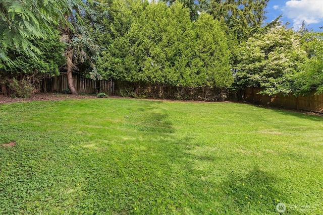 1513 Lowell Ave, Bellingham, WA 98229 - view of fenced backyard